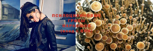 прущий лед Аркадак