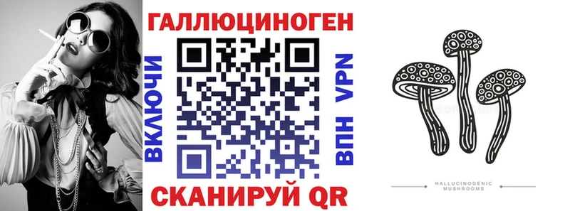хочу наркоту  гидра как войти  Псилоцибиновые грибы MAGIC MUSHROOMS  Пучеж 